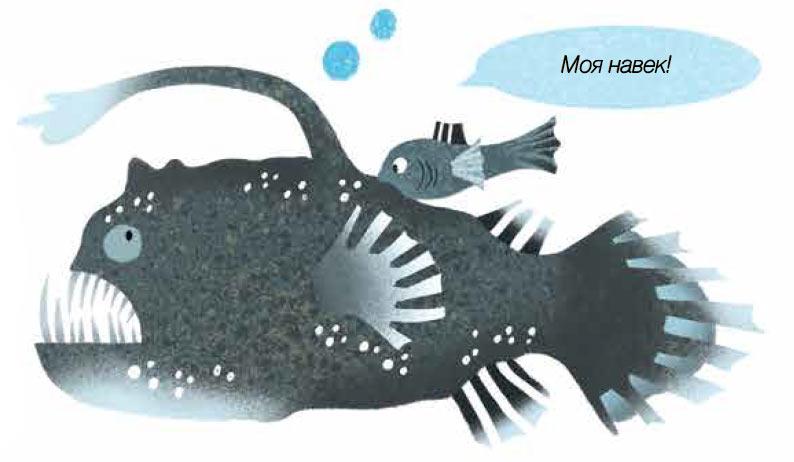 Fig.3.jpg