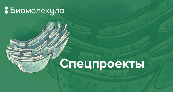 Спецпроекты