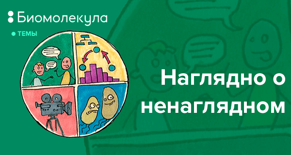 Биомолекула 12 методов в картинках