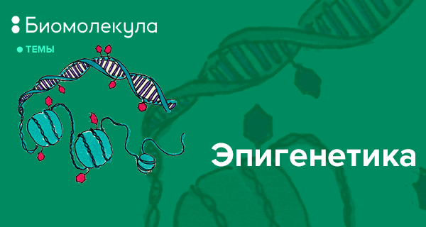 Эпигенетика систем арт