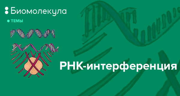 Биомолекула 12 методов в картинках